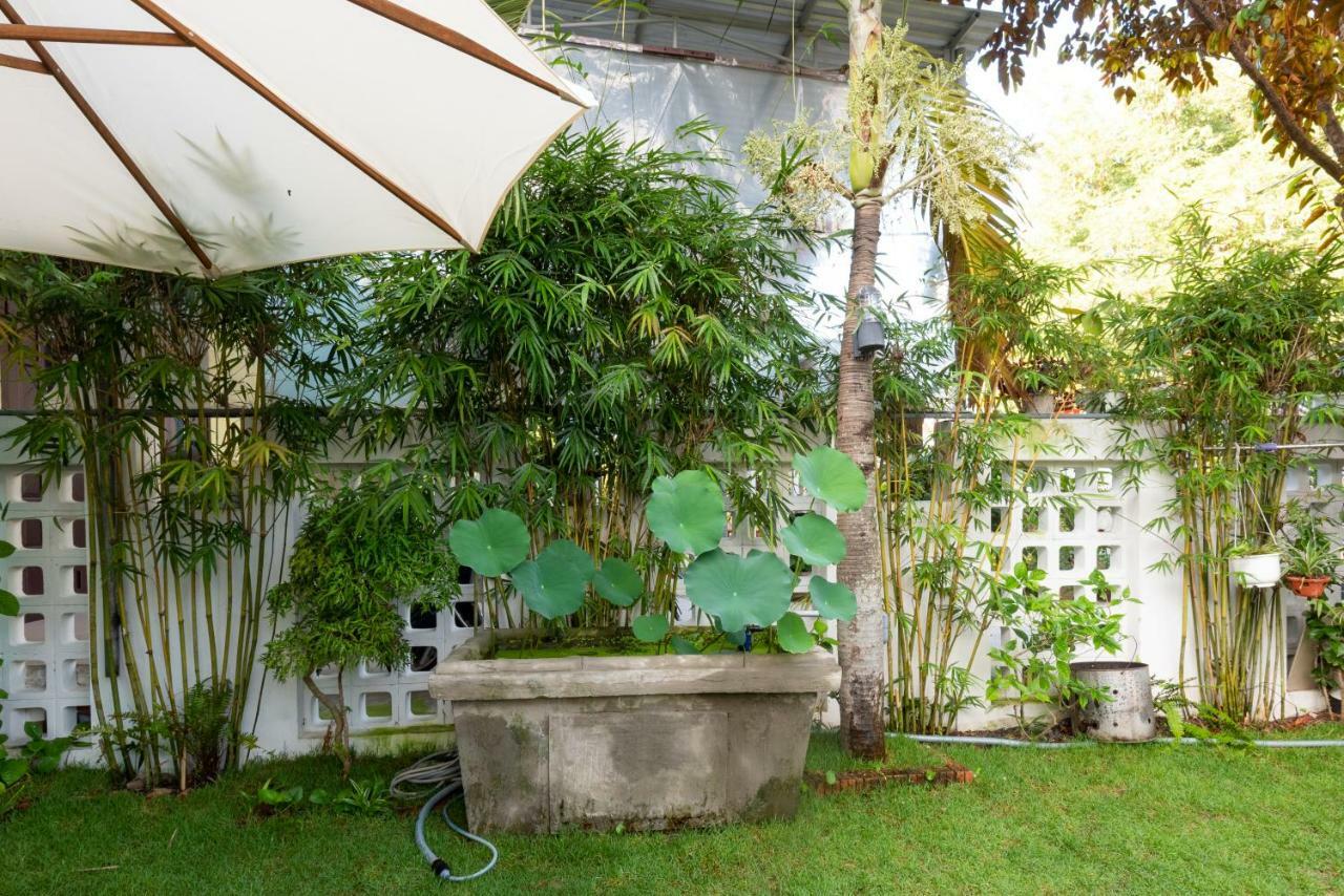 Rice Village Homestay Χόι Αν Εξωτερικό φωτογραφία